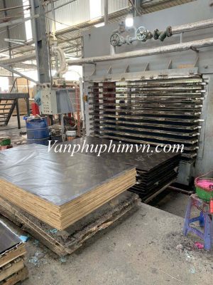 Lý do ván phủ phim trở nên phổ biến? và mẹo chọn 1 tấm ván tốt.