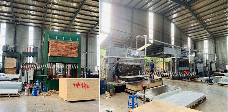 Quy trình sản xuất sản ép phủ phim