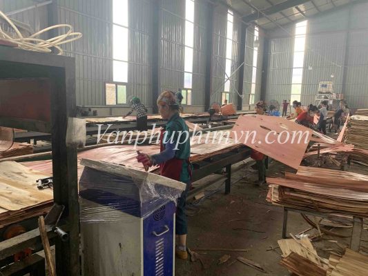 So sánh ván ép hàng hải với ván ép ngoại thất