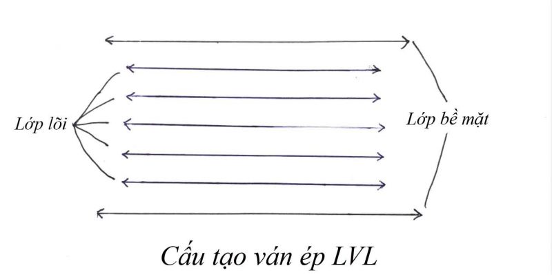 Ván ép LVL là gì? Quy trình sản xuất 1 tấm ván ép LVL