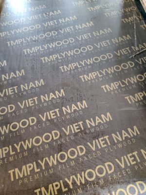 Ván Plywood là gì? phân biệt và phân loại 1 tấm ván ép Plywood.