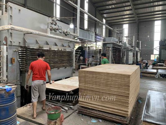 Quy trình và các tiêu chuẩn sản xuất ván ép Hoà Tuấn Plywood.