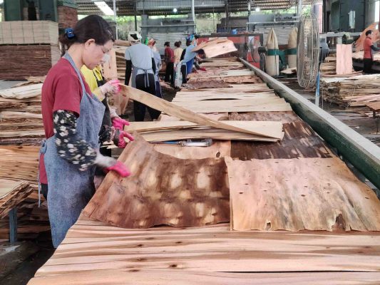 6 yếu tố ảnh hưởng đến chất lượng tấm ván ép phủ phim.
