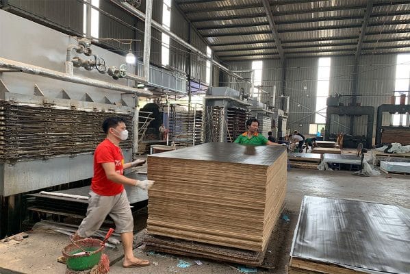 Ván ép phủ phim Việt Nam - HT Plywood
