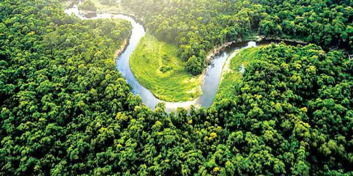 Banner 12 ván ép phủ phim Tú Anh 68